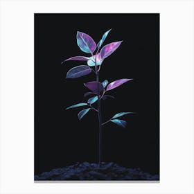 Plant In The Dark 37 Canvas Print