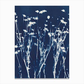 Magic In The Ordinary 10 Canvas Print