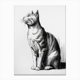 Tabby Cat Canvas Print