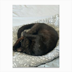 Black Cat Sleeping On Bed Canvas Print