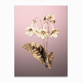 Gold Botanical Canterbury Bells on Rose Quartz n.0342 Canvas Print