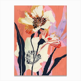 Colourful Flower Illustration Cineraria 7 Canvas Print