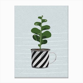Succulent Plant 3 Canvas Print