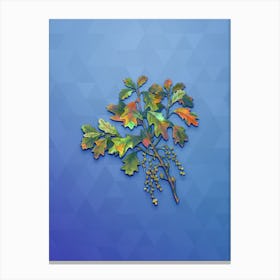 Vintage Bear Oak Botanical Art on Blue Perennial n.0807 Canvas Print
