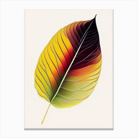 Sunflower Leaf Abstract Canvas Print