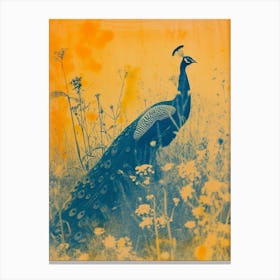 Vintage Orange & Blue Peacock In The Wild 1 Canvas Print