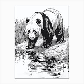 Giant Panda Standing On A Riverbank Ink Illustration 3 Canvas Print