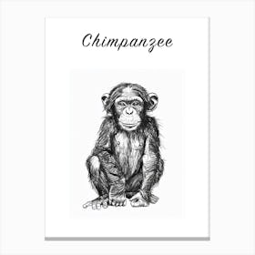 B&W Chimpanzee 2 Poster Canvas Print