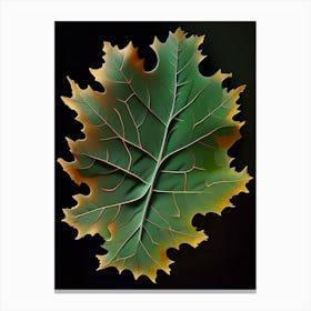 Oak Leaf Vibrant Inspired 1 Canvas Print