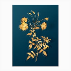 Vintage Red Rose Botanical in Gold on Teal Blue n.0301 Canvas Print