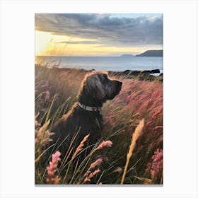 Sunset In Scotland Canvas Print