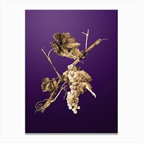 Gold Botanical Vermentino Grapes on Royal Purple n.2312 Canvas Print