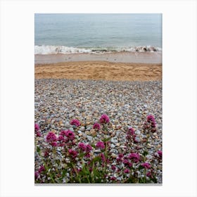 Flowers Pebbles Sand And Sea Canvas Print