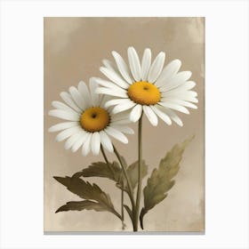 Denmark National Flower The Marguerite Daisy Canvas Print