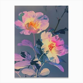 Iridescent Flower Portulaca 3 Canvas Print