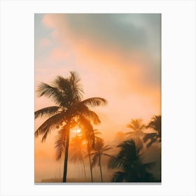 Sunset Over Palm Trees Canvas Print