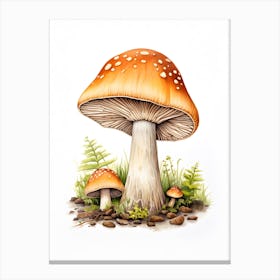 Mushroom Drawing Canvas Print