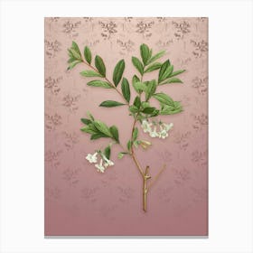 Vintage White Honeysuckle Plant Botanical on Dusty Pink Pattern n.1778 Canvas Print