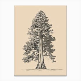 Redwood Tree Minimalistic Drawing 3 Canvas Print