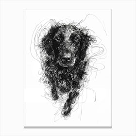 Flat Coated Retriever Dog Line Sketch  2 Canvas Print