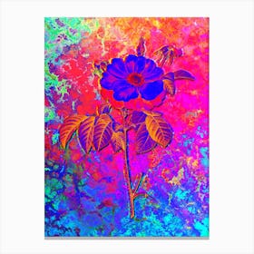 Speckled Provins Rose Botanical in Acid Neon Pink Green and Blue n.0036 Canvas Print