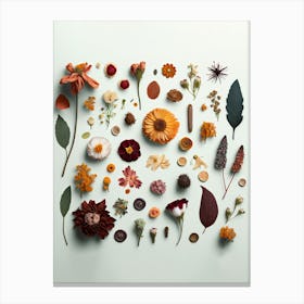 Dried Flowers Collection Green Canvas Print