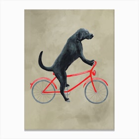 Labrador On Bicycle Canvas Print