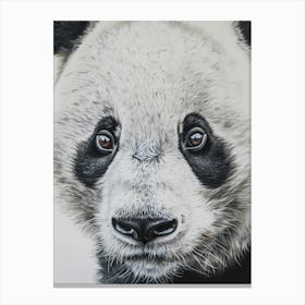 Panda Bear 4 Canvas Print