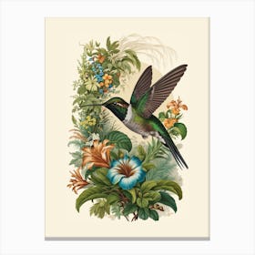 Hummingbird botanical flower beauty 18 Canvas Print