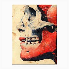 Skull And Face anatomy biology art Canvas Print