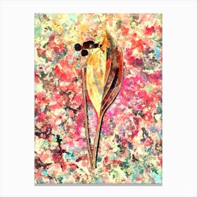 Impressionist Bulltongue Arrowhead Botanical Painting in Blush Pink and Gold n.0022 Canvas Print