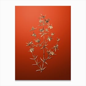 Gold Botanical Heath Mirbelia Branch on Tomato Red n.4810 Canvas Print