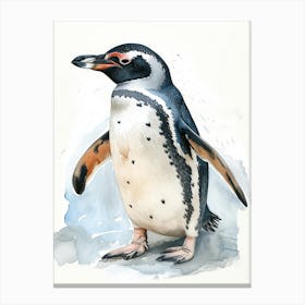 Humboldt Penguin Saunders Island Watercolour Painting 4 Canvas Print