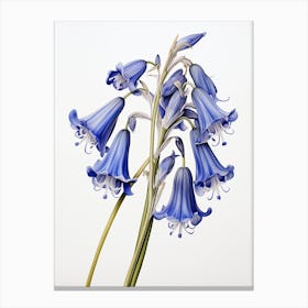 Bluebells Flower Vintage Botanical 1 Canvas Print