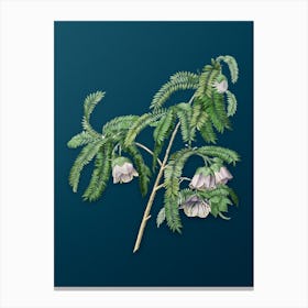 Vintage Spaendoncea Tamarandifolia Botanical Art on Teal Blue n.0416 Canvas Print