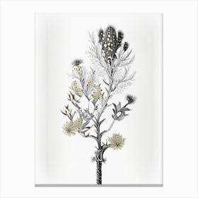 Silver Torch Joshua Tree Gold And Black (6) Canvas Print