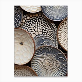 Collection Of Ceramic Plates Canvas Print