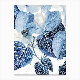 Blue leaves ii Canvas Print