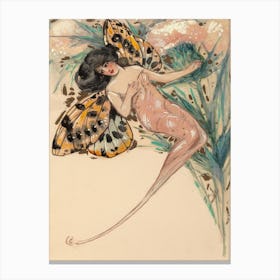Fairy With Butterfly Wings Canvas Print
