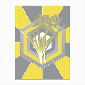 Vintage Golden Hurricane Lily Botanical Geometric Art in Yellow and Gray n.407 Canvas Print