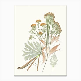 Angelica Root Spices And Herbs Pencil Illustration 2 Canvas Print