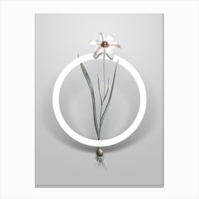 Vintage Lady Tulip Minimalist Flower Geometric Circle on Soft Gray n.0042 Canvas Print