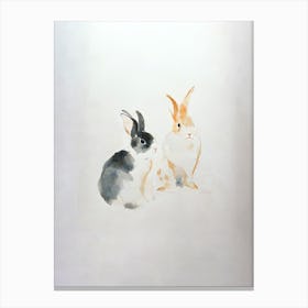 Chinese New Year Of The Rabbit 3 Canvas Print
