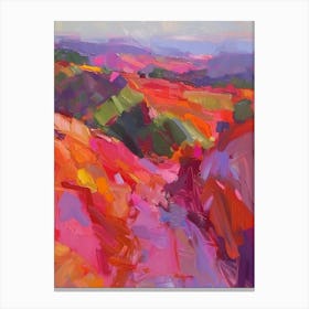 Landscape In Pink And Orange Canvas Print