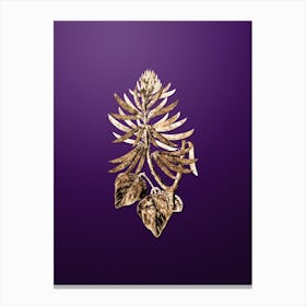 Gold Botanical Naked Flowering Erythrina on Royal Purple Canvas Print