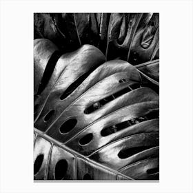 Leather Leaves Canvas Print