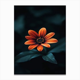 Orange Flower 18 Canvas Print