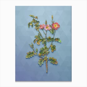 Vintage Prickly Sweetbriar Rose Botanical Art on Summer Song Blue n.1768 Canvas Print