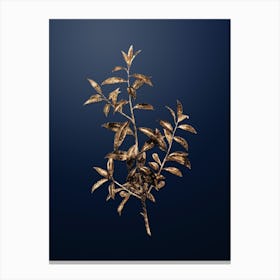 Gold Botanical Alabama Dahoon Branch on Midnight Navy n.2931 Canvas Print