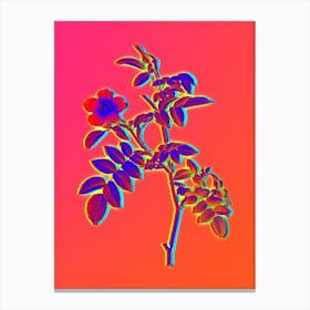 Neon Pink Alpine Rose Botanical in Hot Pink and Electric Blue n.0062 Canvas Print